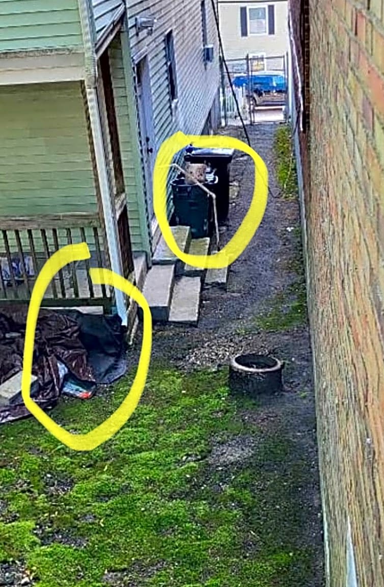 Image submitted with report