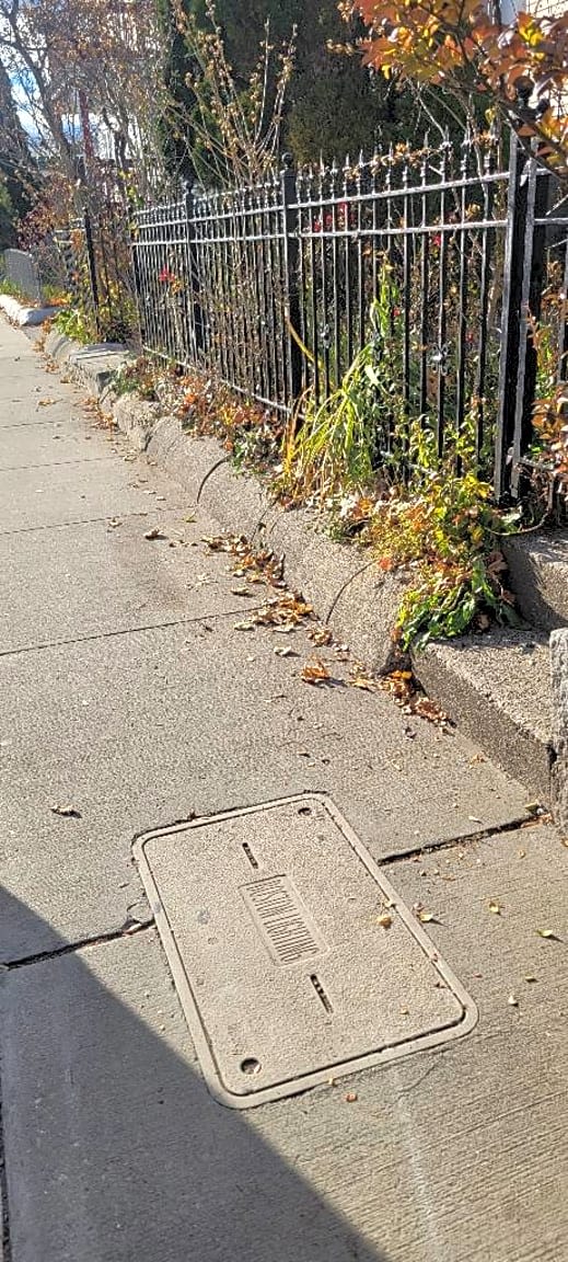 Image submitted with report