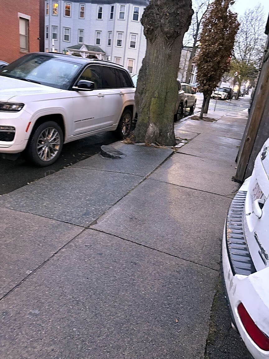 Image submitted with report