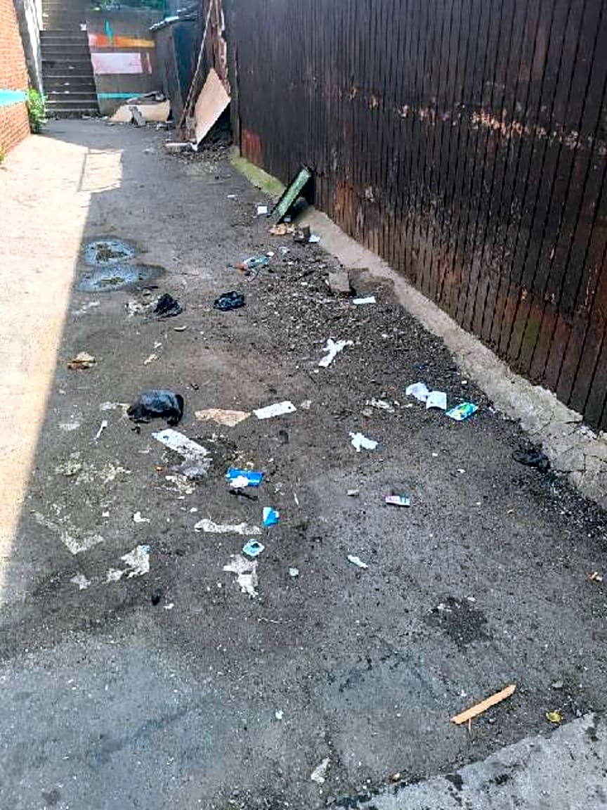 Image submitted with report