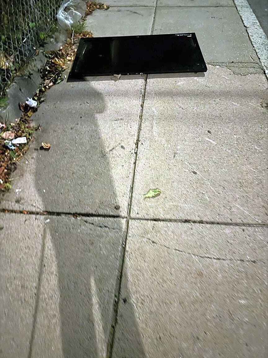 Image submitted with report