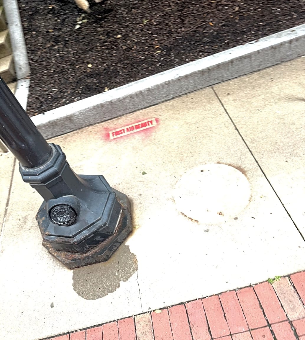 Image submitted with report