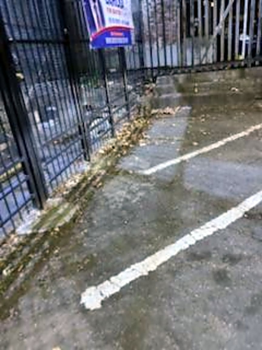 Image submitted with report