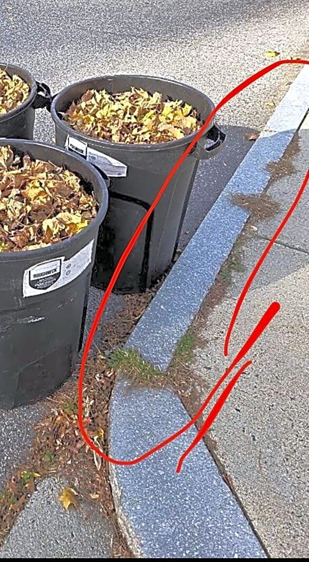 Image submitted with report