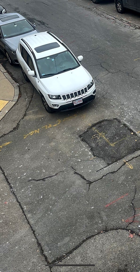 Image submitted with report