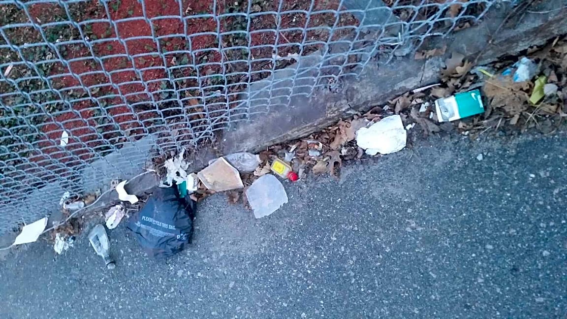 Image submitted with report