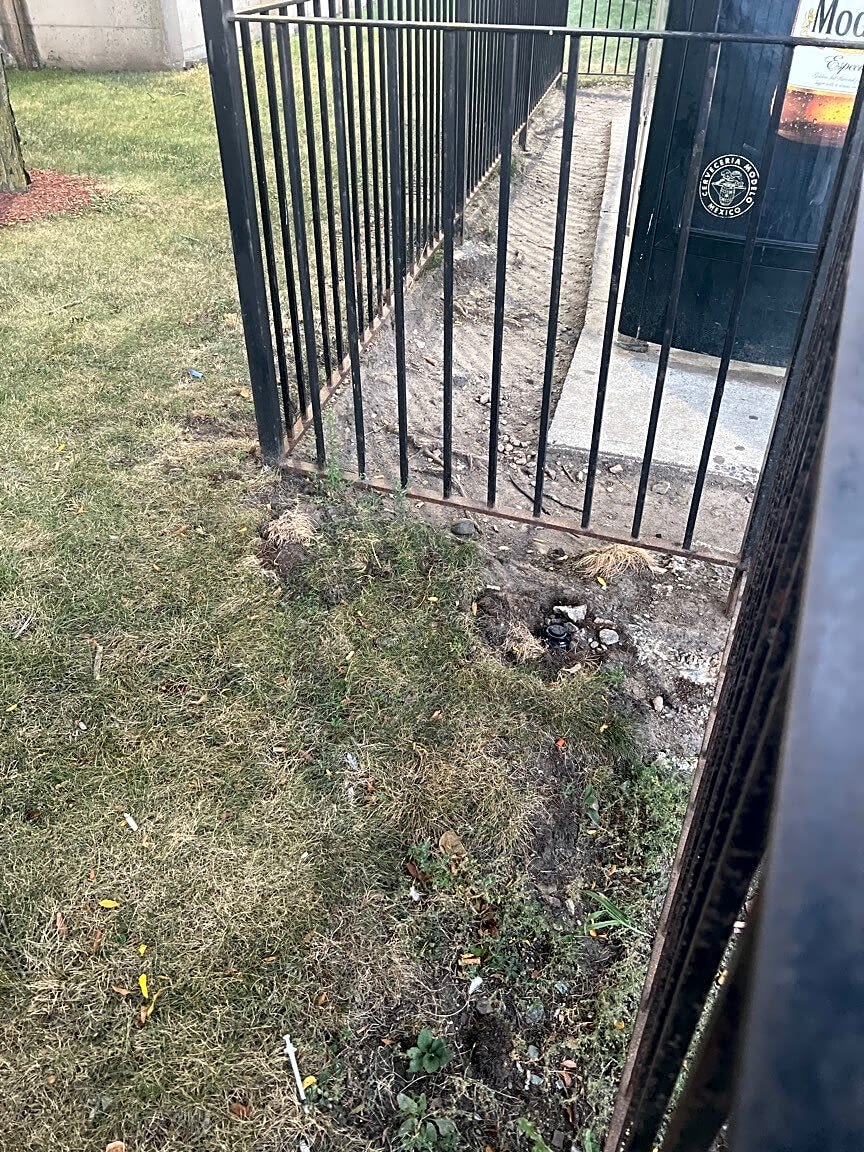 Image submitted with report