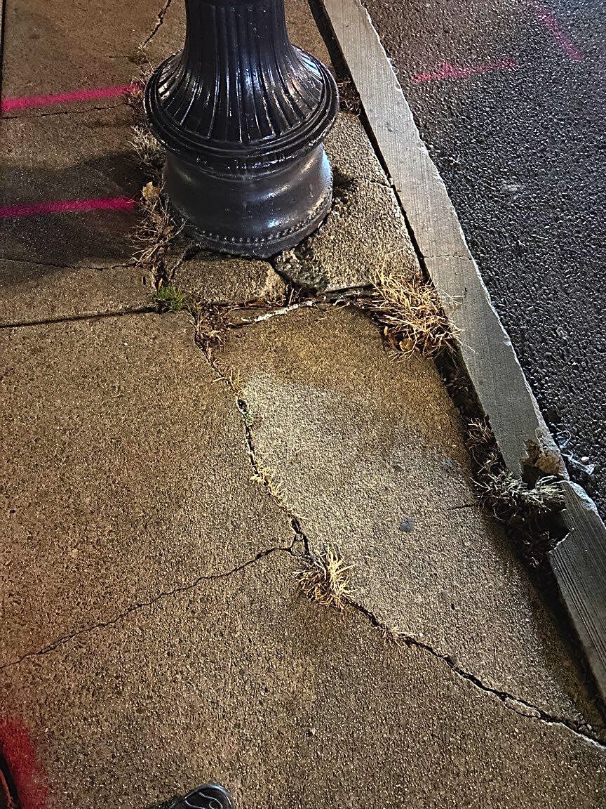 Image submitted with report