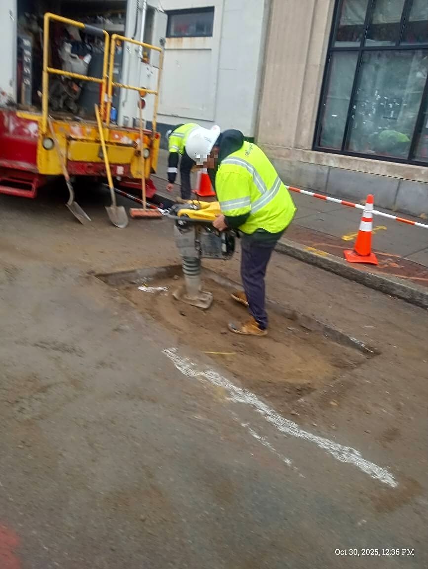 Image submitted with report