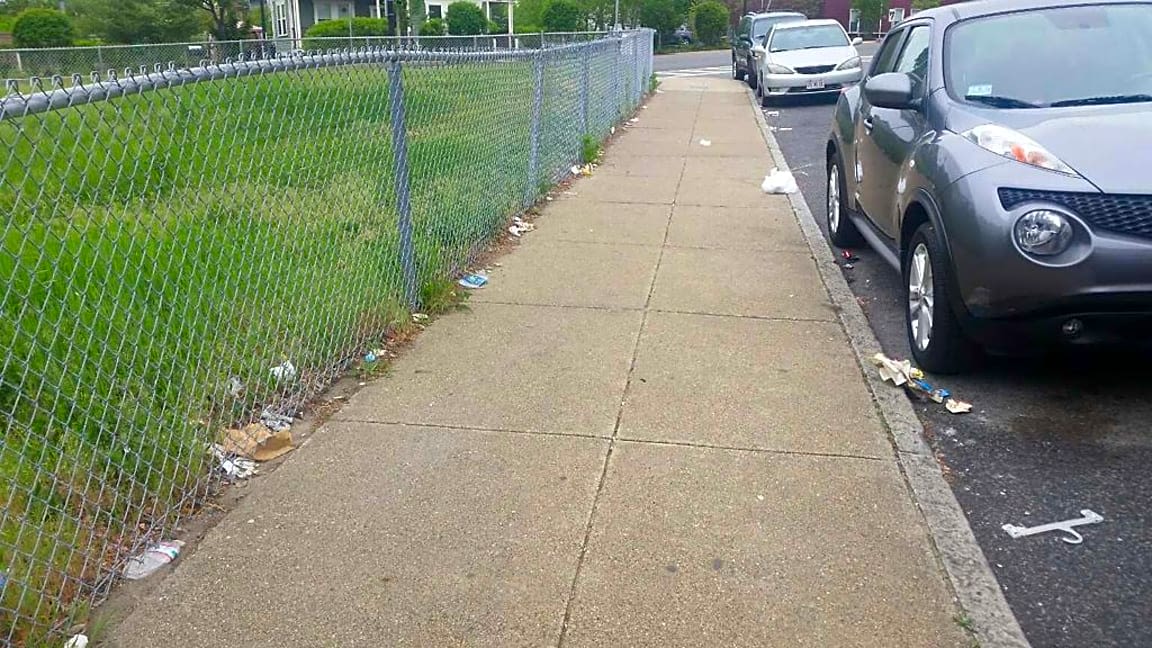 Image submitted with report