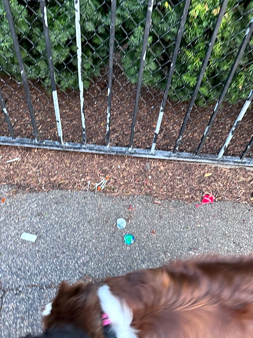 Image submitted with report