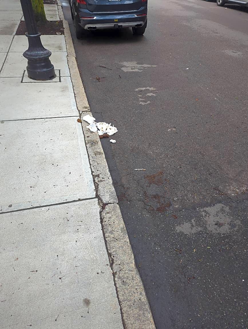 Image submitted with report
