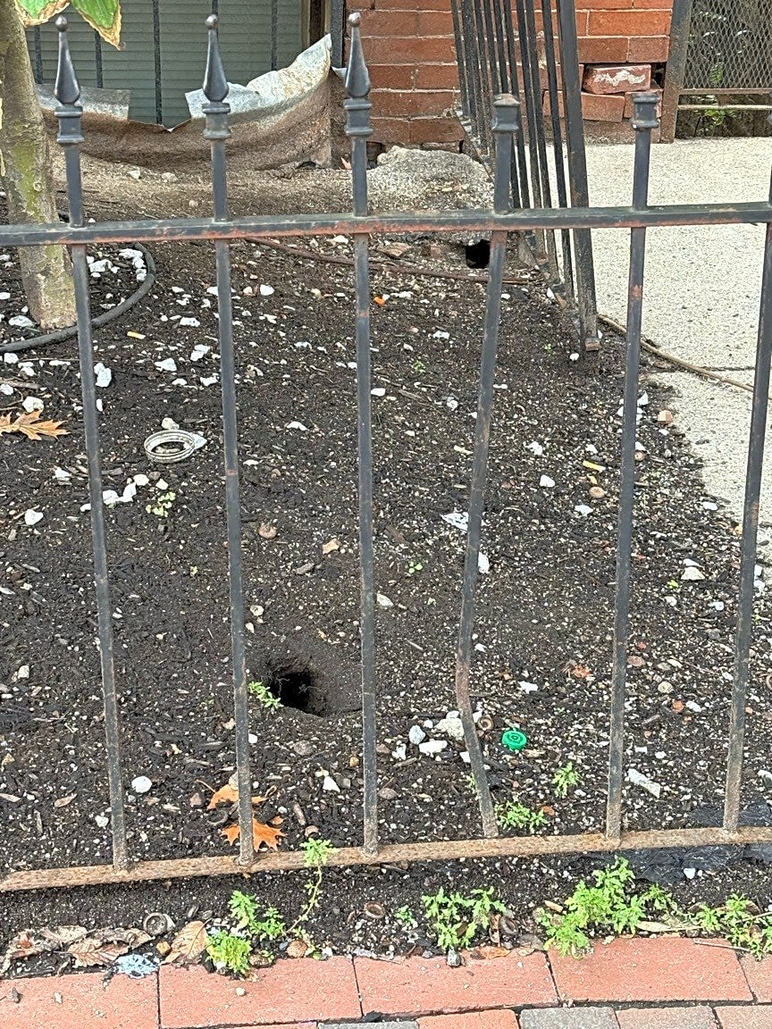 Image submitted with report