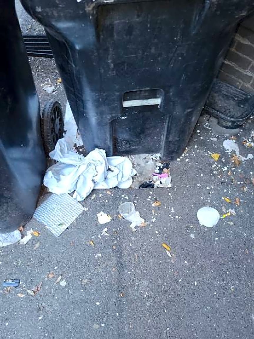 Image submitted with report