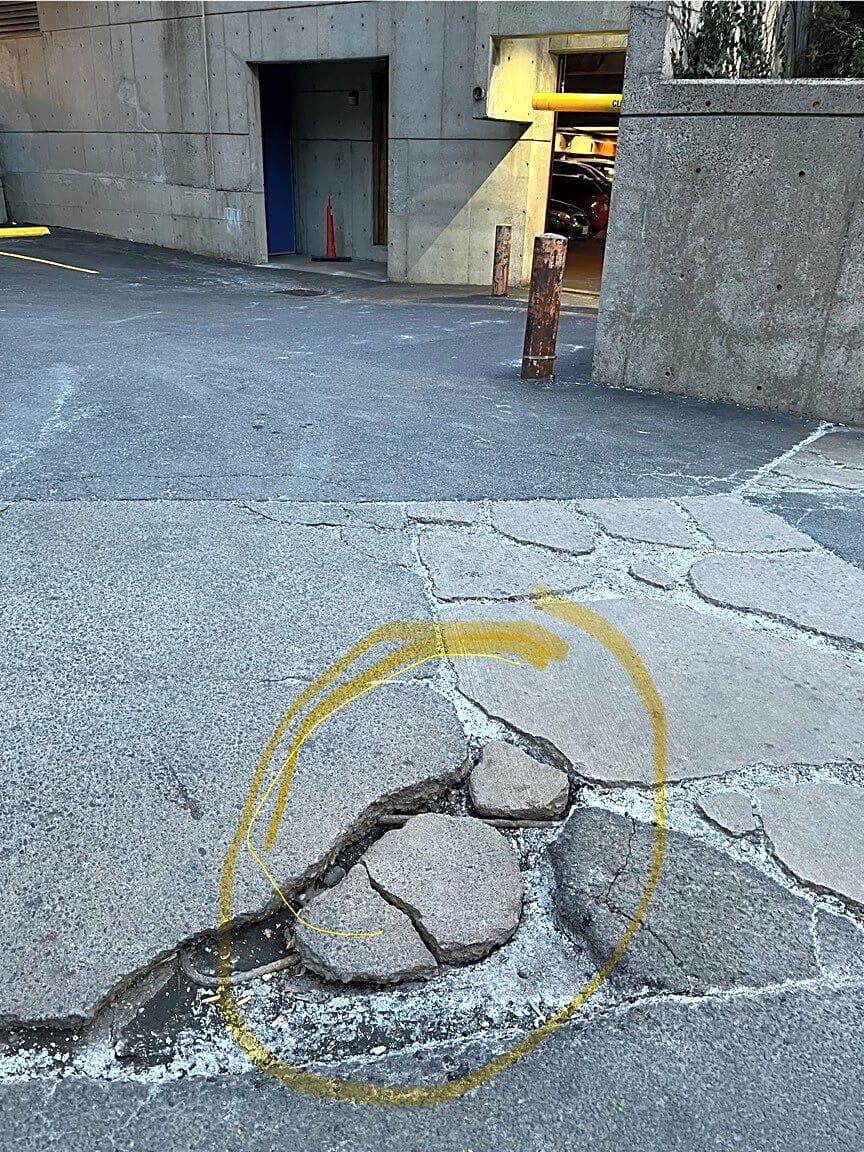 Image submitted with report