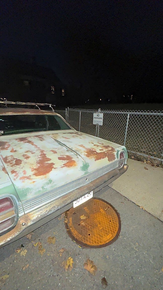 Image submitted with report