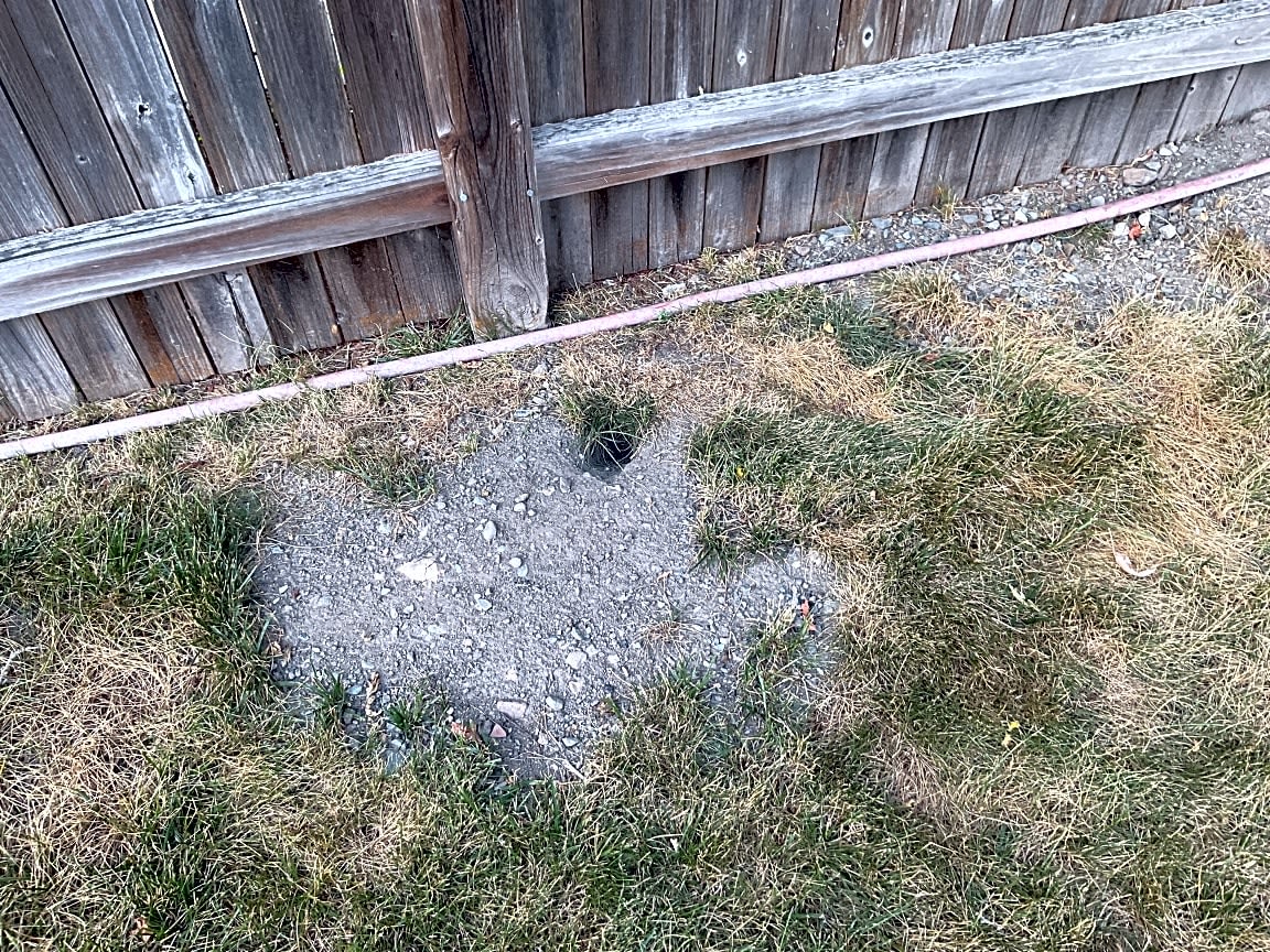 Image submitted with report