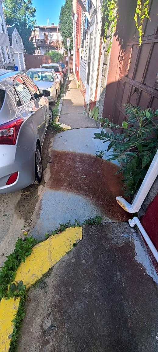 Image submitted with report