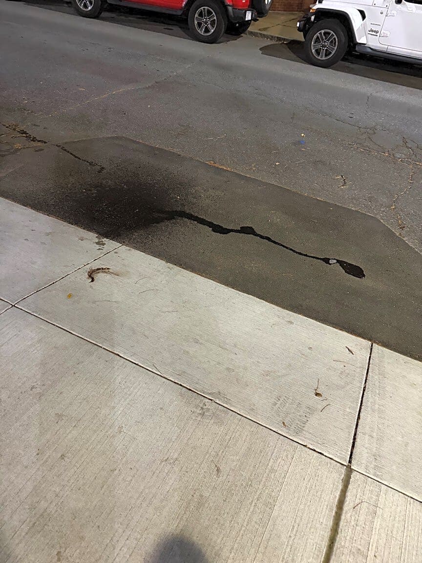 Image submitted with report