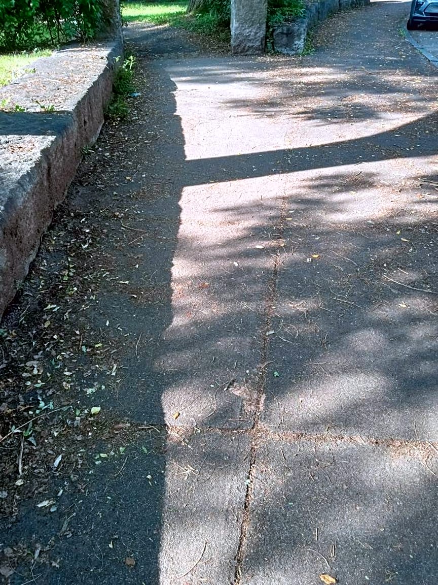 Image submitted with report