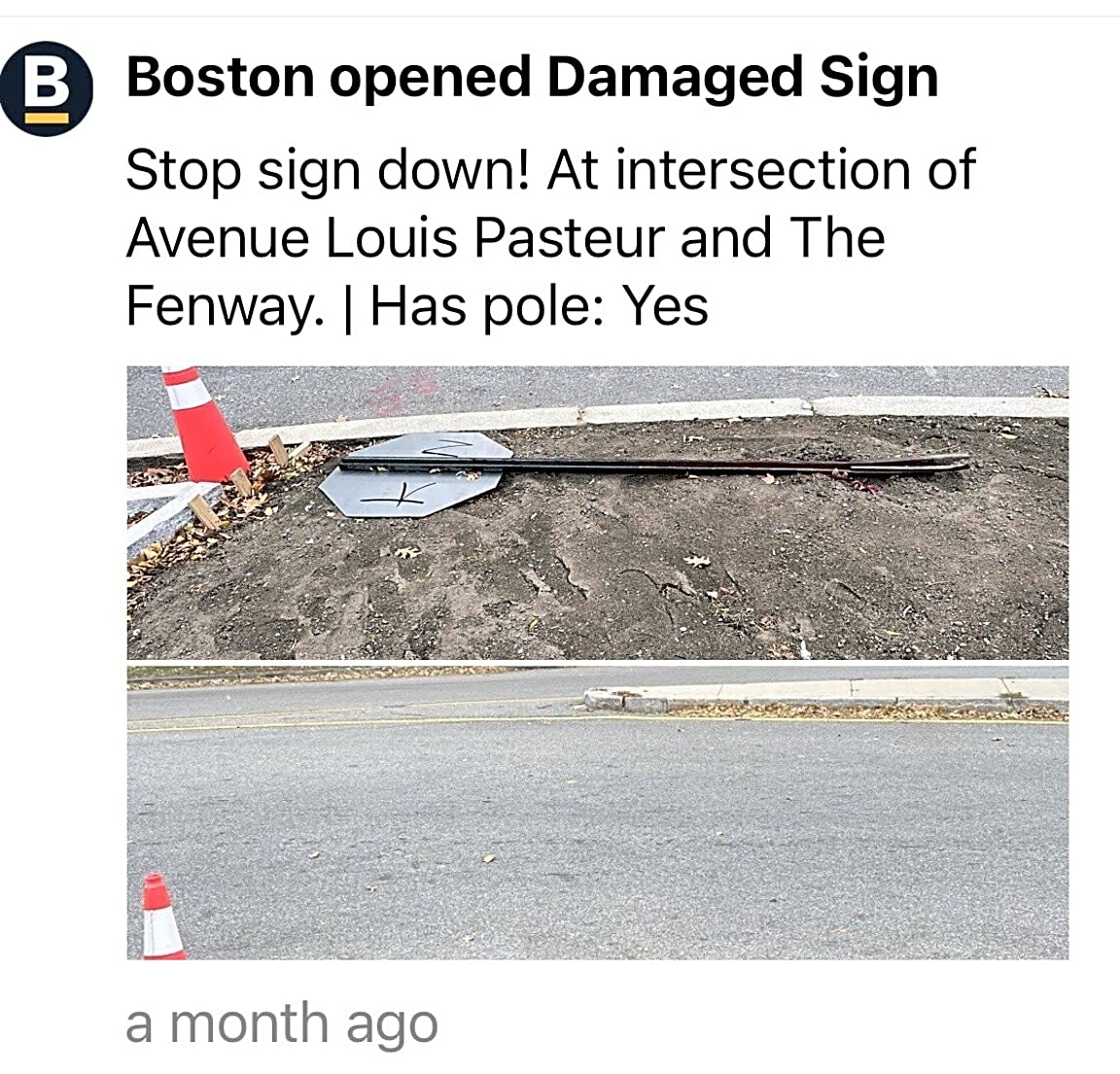 Image submitted with report