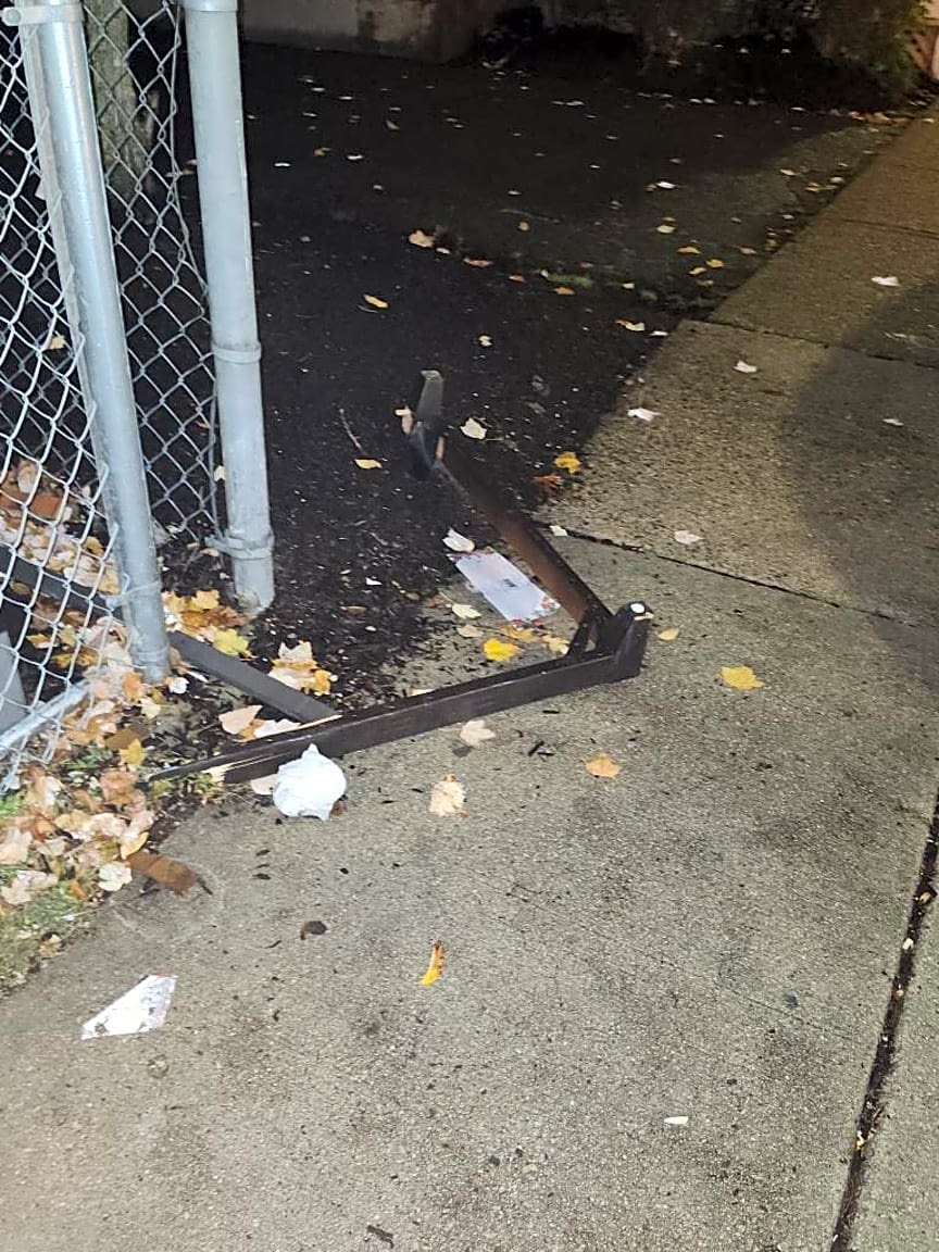 Image submitted with report