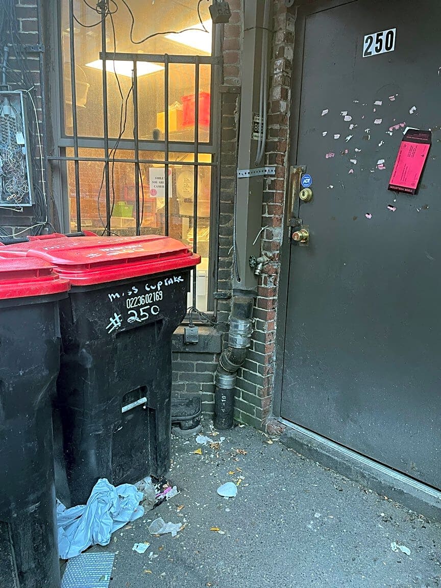 Image submitted with report