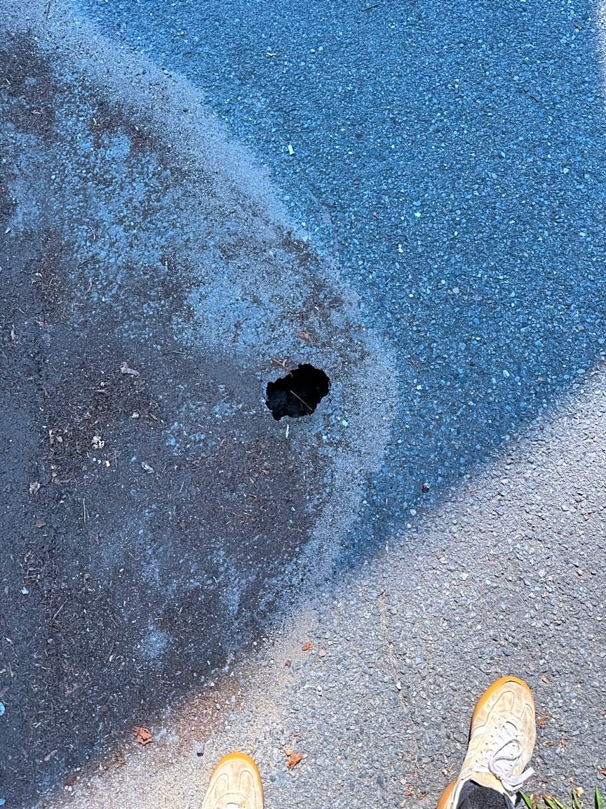 Image submitted with report