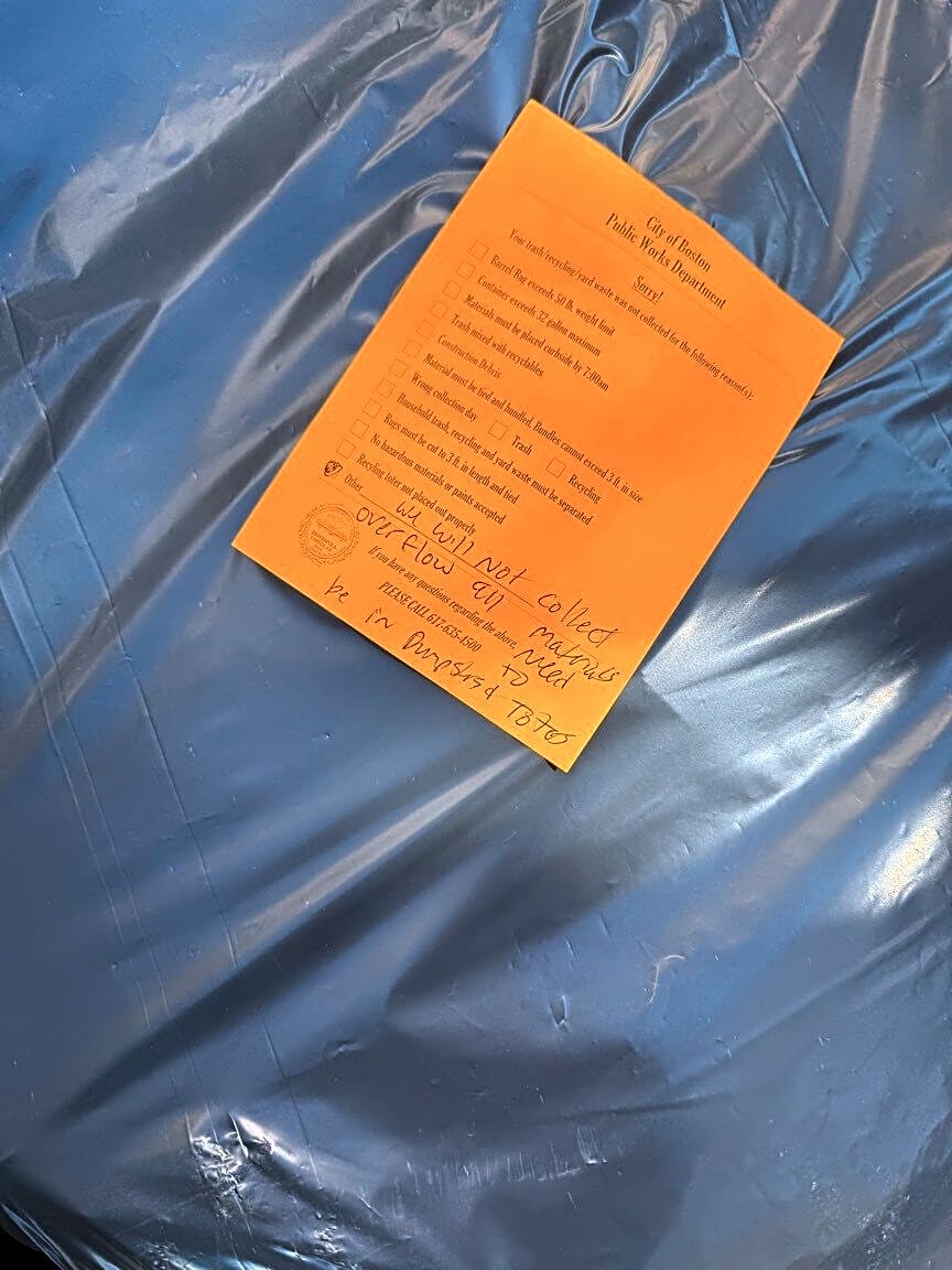 Image submitted with report