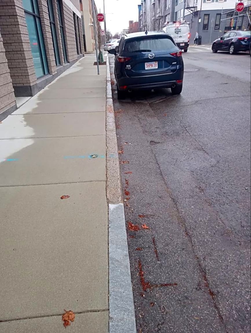 Image submitted with report