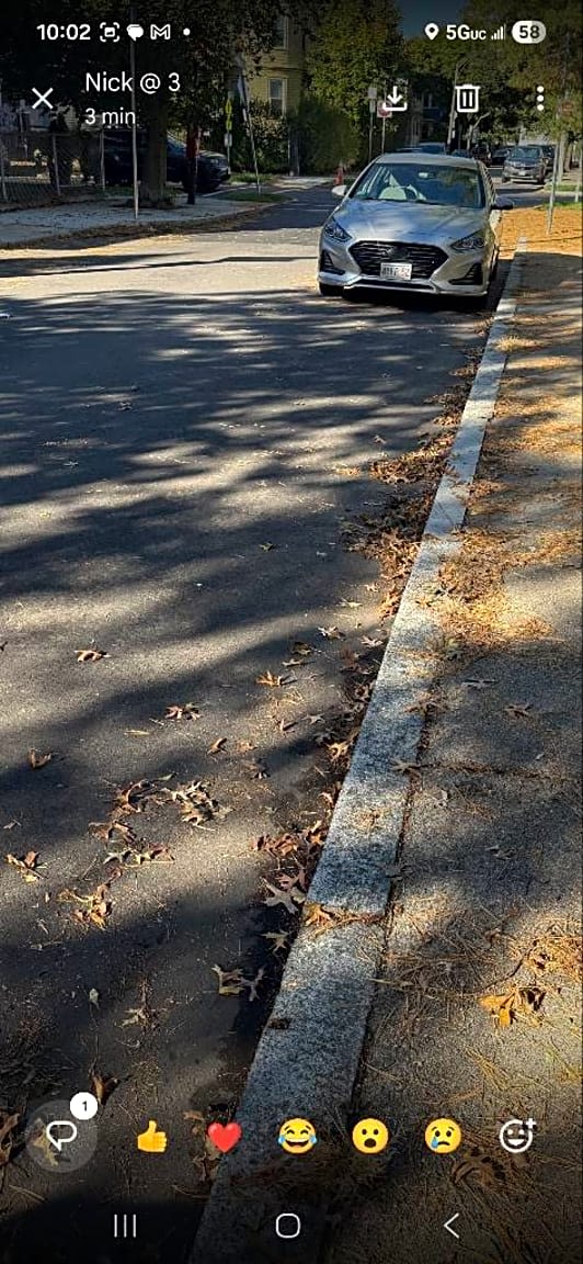 Image submitted with report