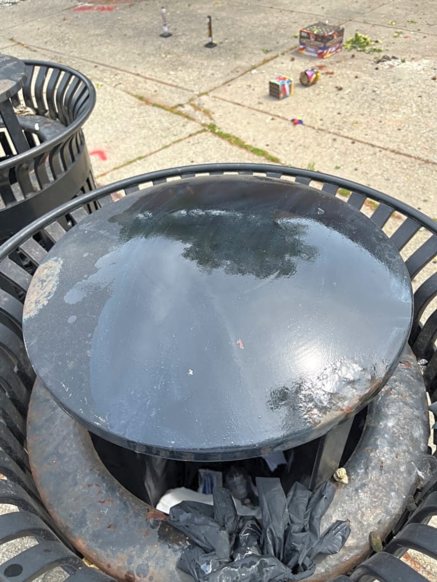 Image submitted with report
