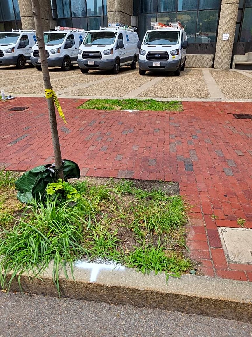 Image submitted with report