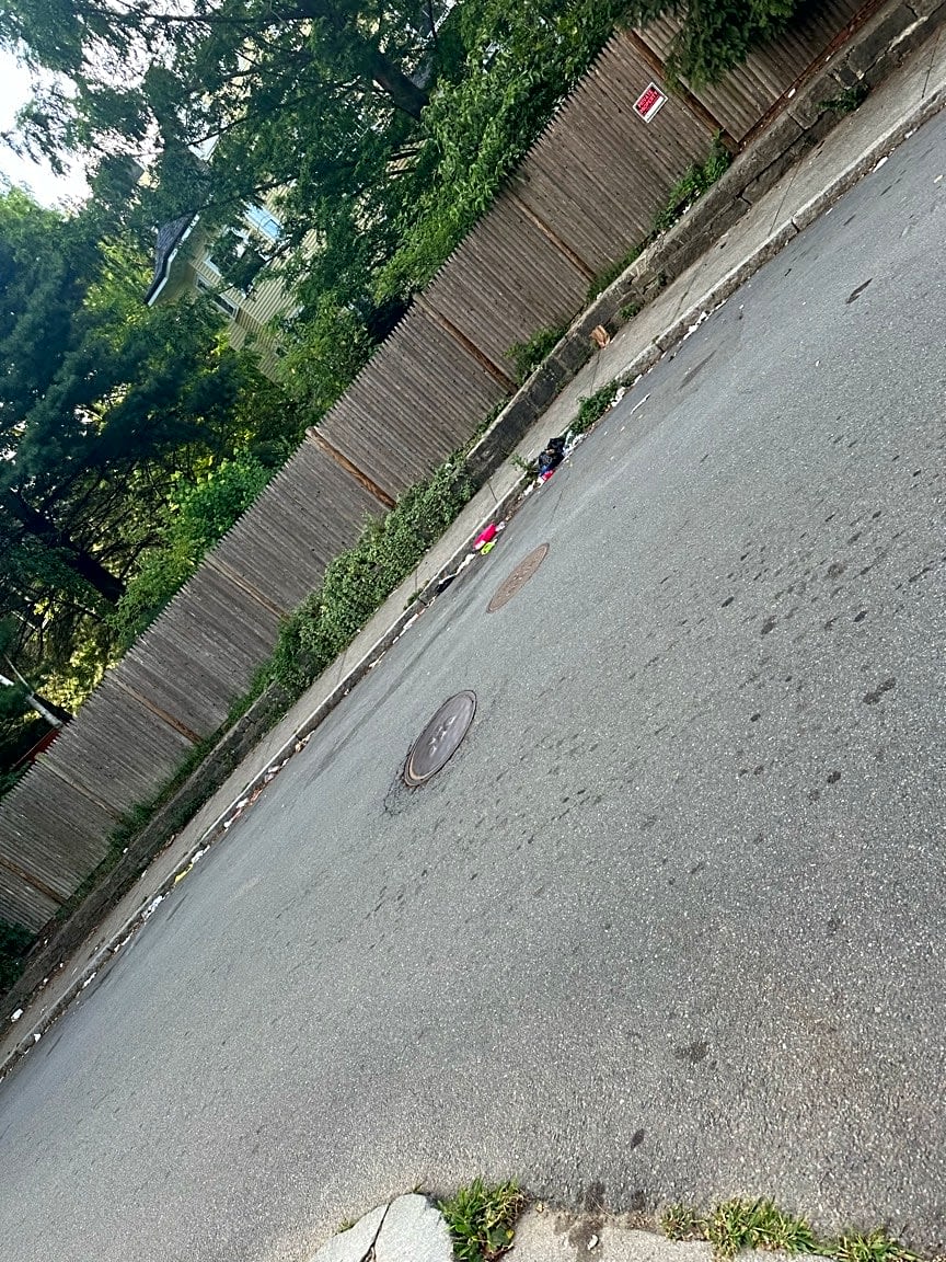 Image submitted with report