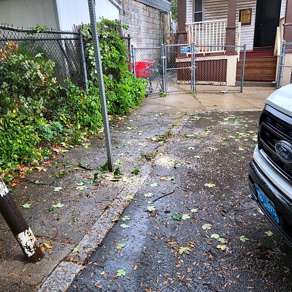 Image submitted with report