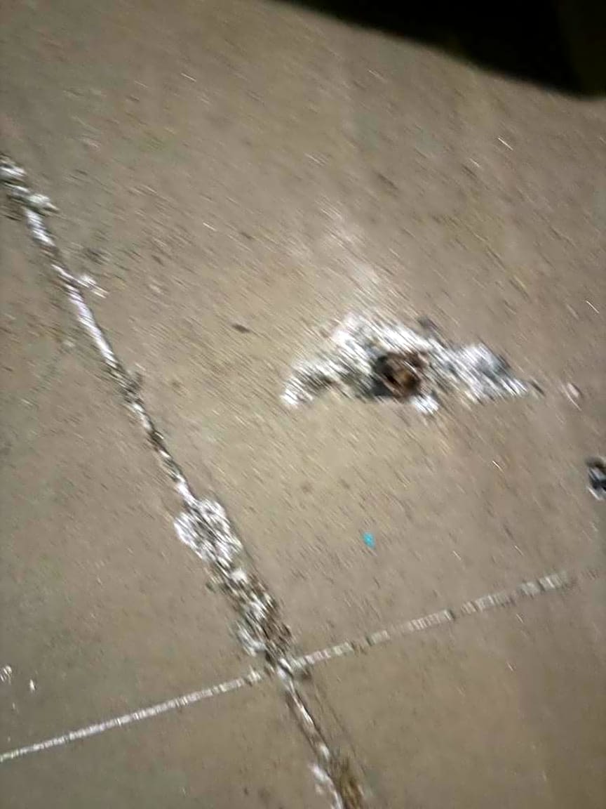 Image submitted with report