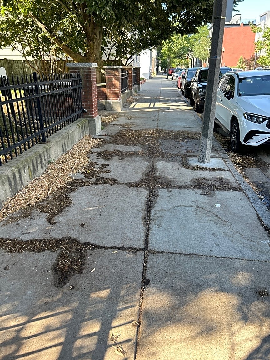 Image submitted with report