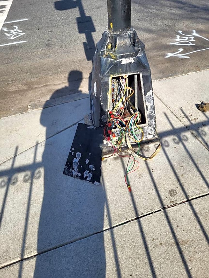 Image submitted with report