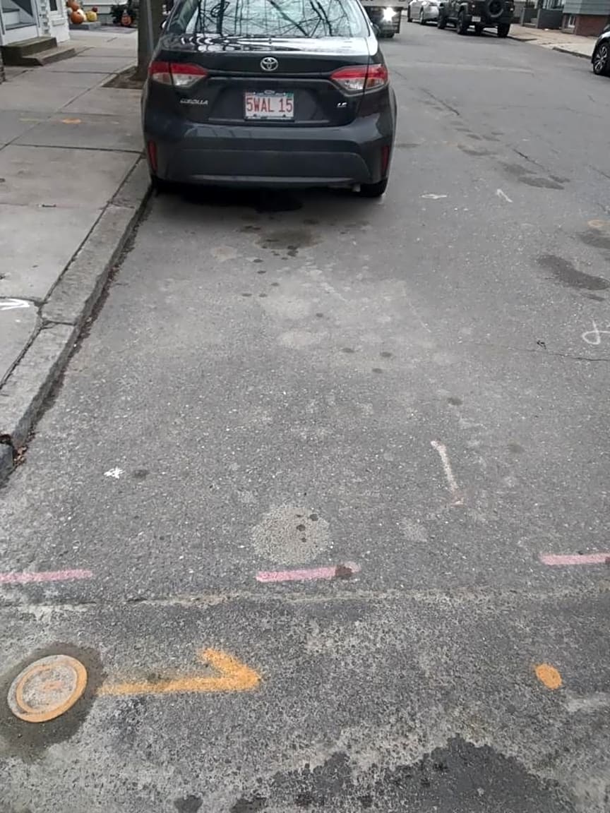 Image submitted with report