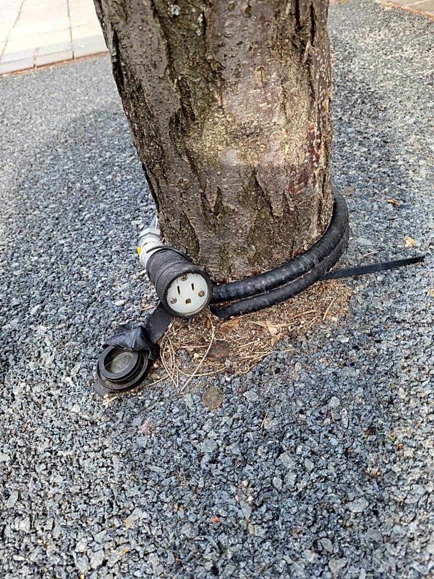 Image submitted with report
