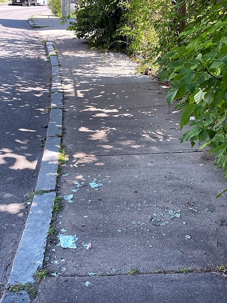 Image submitted with report