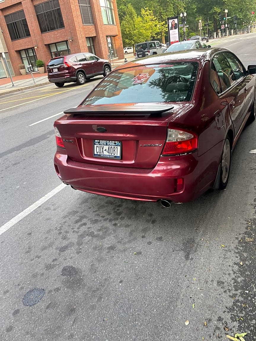 Image submitted with report