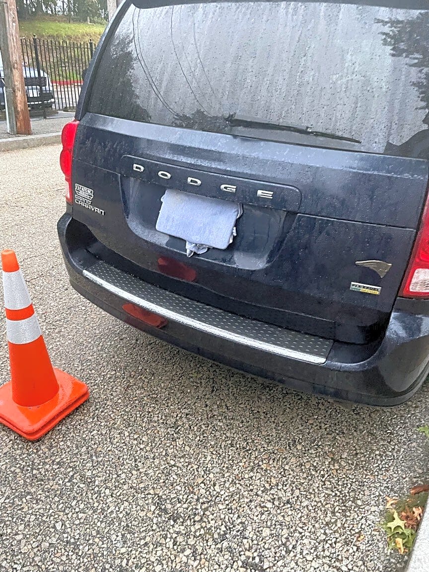 Image submitted with report