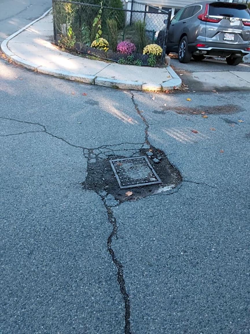 Image submitted with report