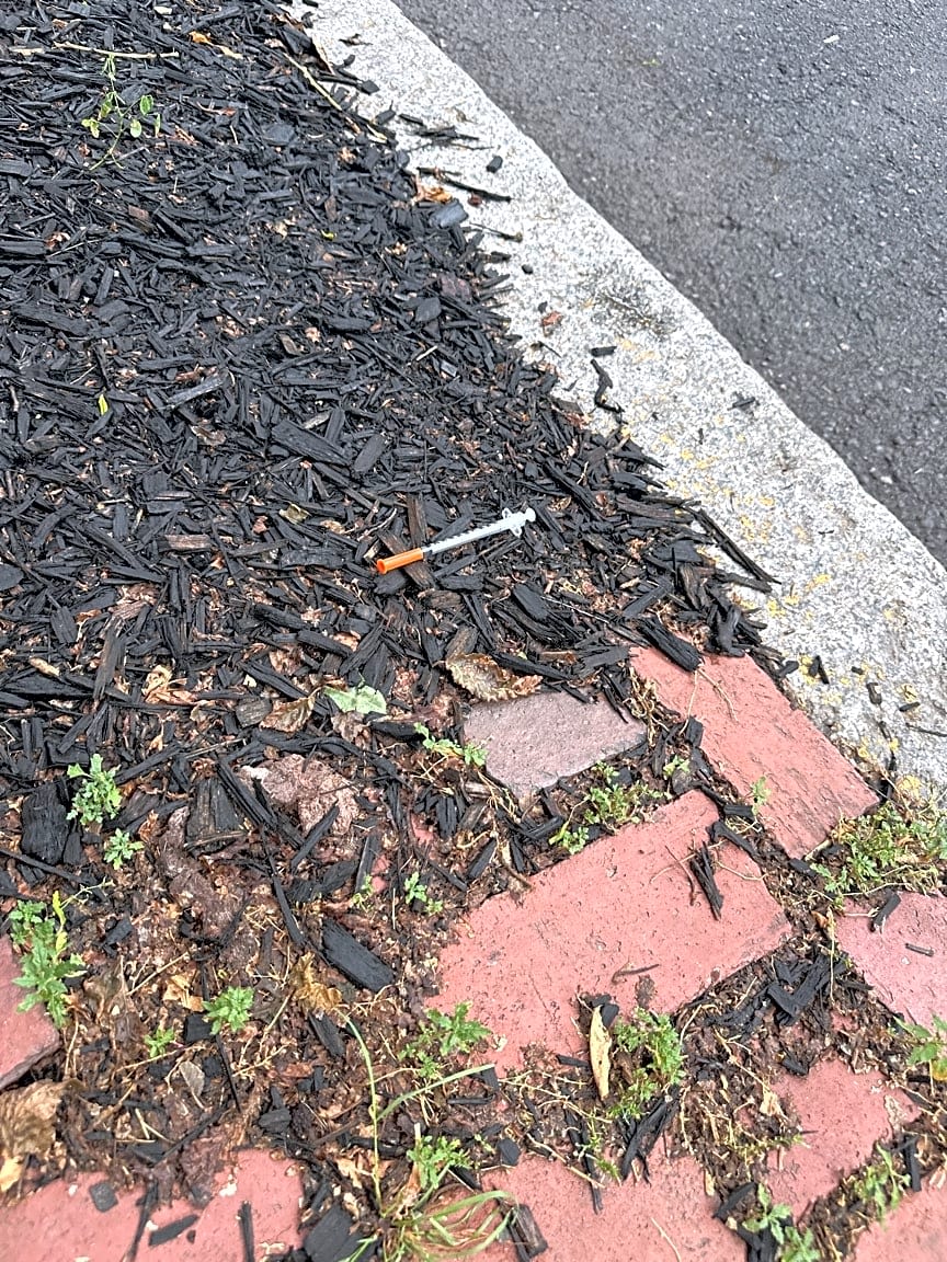 Image submitted with report