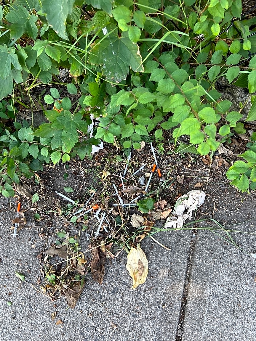 Image submitted with report