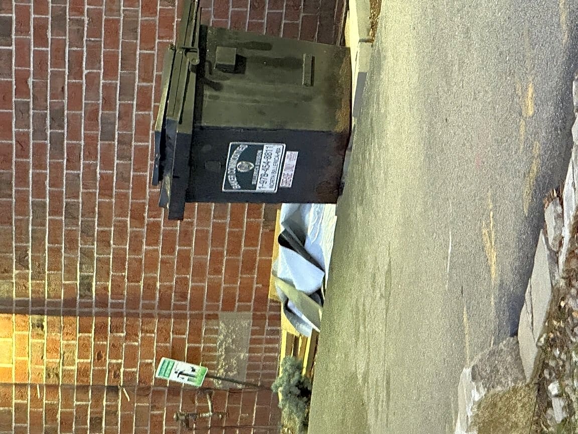 Image submitted with report