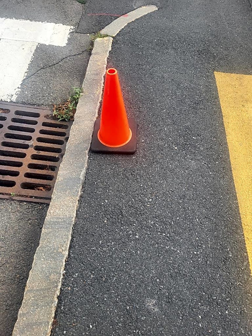 Image submitted with report