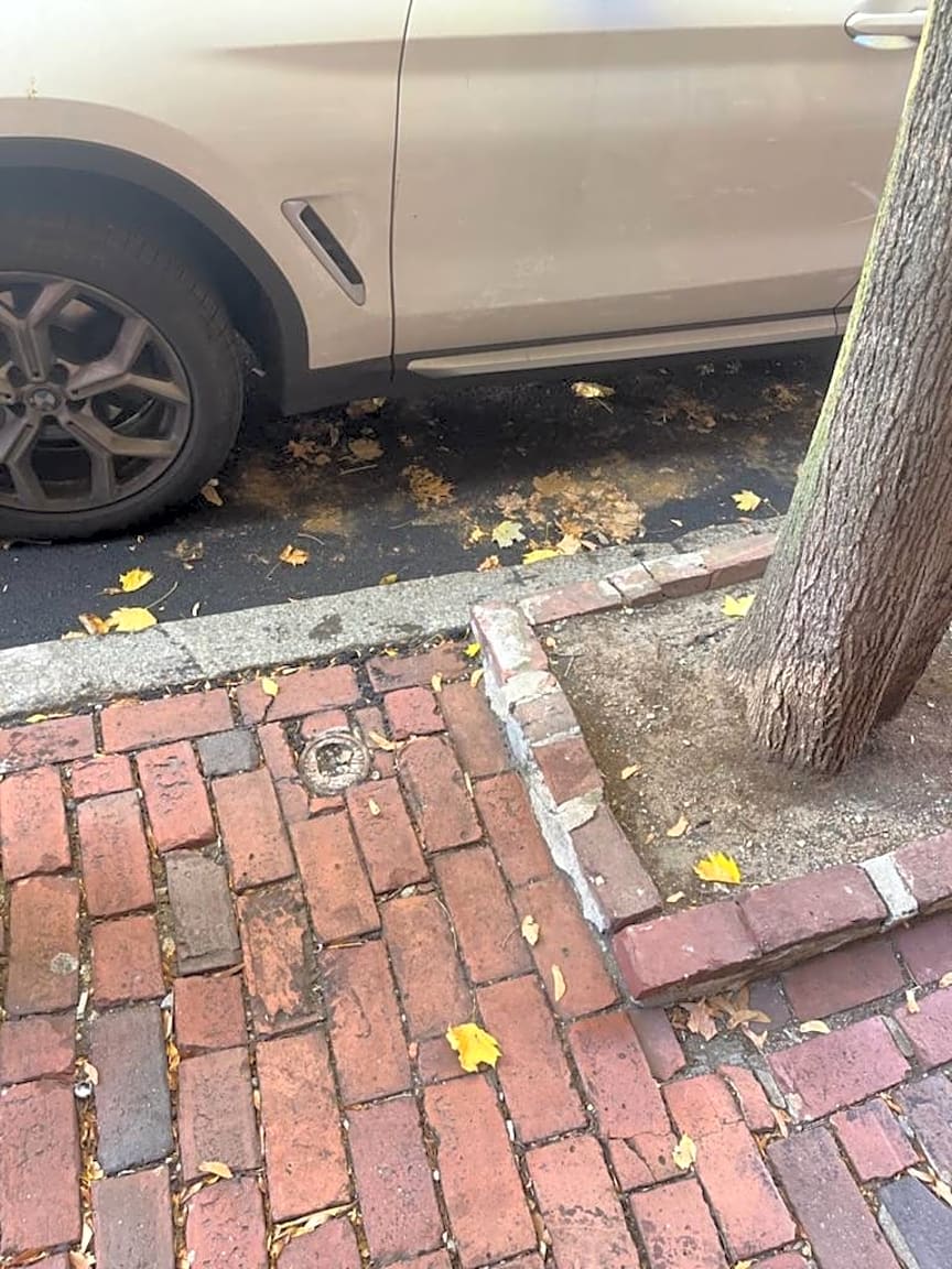 Image submitted with report