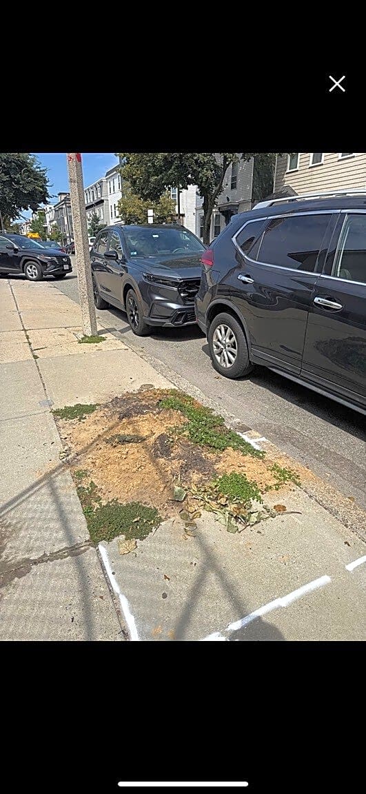 Image submitted with report